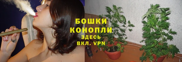 прущий лед Костерёво