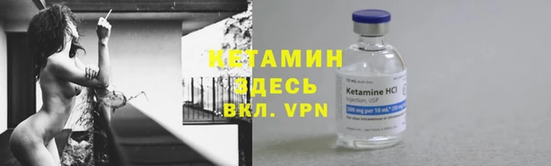 a pvp Бородино