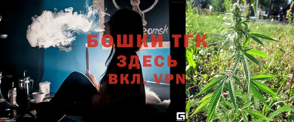 spice Няндома