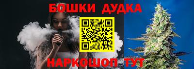 a pvp Гусев