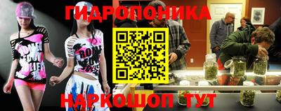 a pvp Гусев