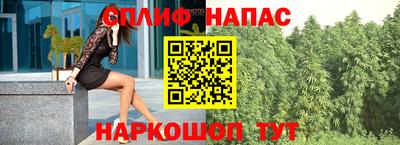 a pvp Гусев