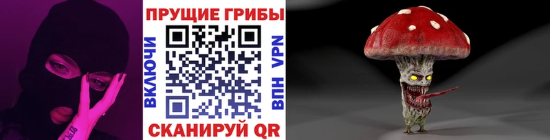 гидра ссылки  darknet клад  Воркута  Псилоцибиновые грибы Psilocybine cubensis  купить наркотики цена 