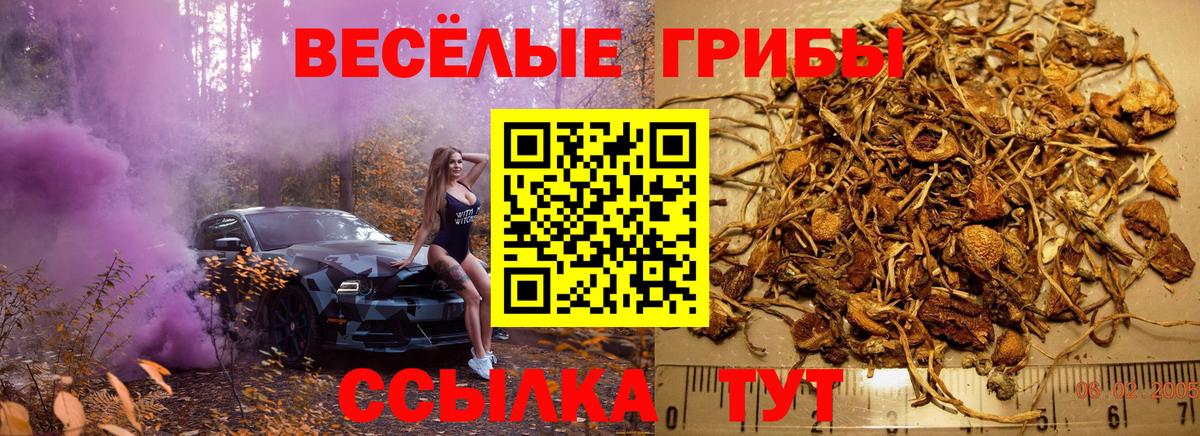 Галлюциногенные грибы прущие грибы Воркута