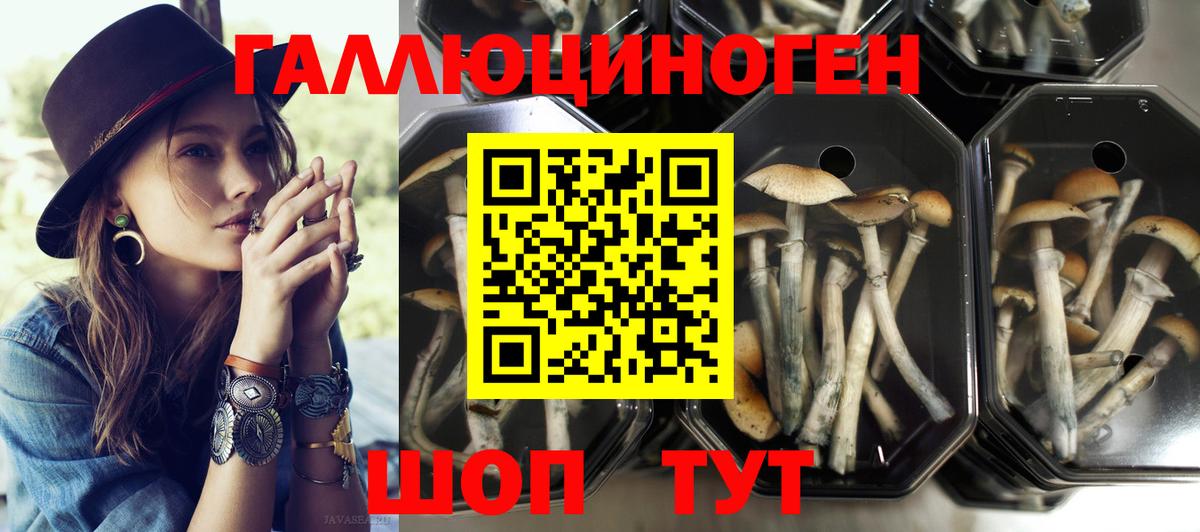 Псилоцибиновые грибы MAGIC MUSHROOMS  Вход с VPN  Воркута  Псилоцибиновые грибы мицелий 